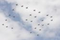 RAF Hawks EIIR formation flypast at Fairford Air Show (Royal International Air Tattoo) 2012