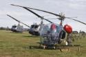 Bell UH-1 Iroquois and Bell 47G at RNZAF 75th Anniversary Air Show 2012 at Ohakea Air Base
