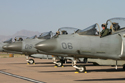 American Marine AV-8 Harrier line up