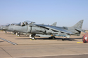 American Marine AV-8 Harriers